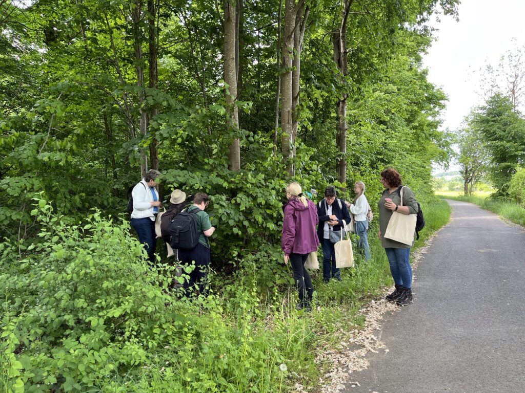 Kräuterwanderung in Böblingen