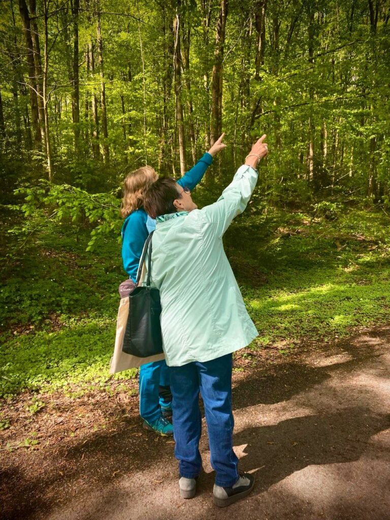 Kräuterwanderung essbare Bäume