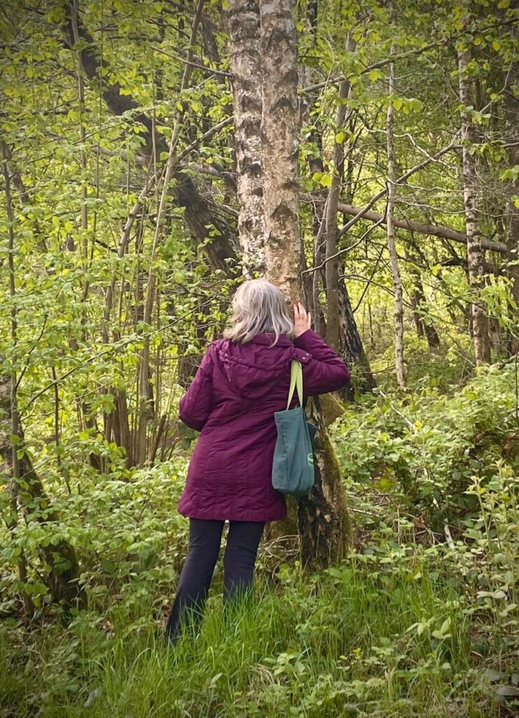 Kräuterwanderung essbare Bäume